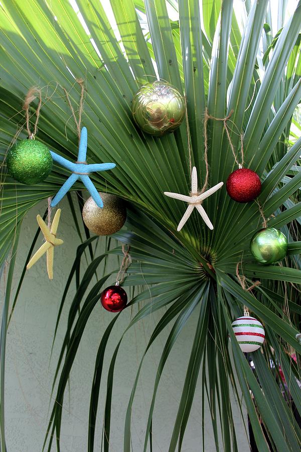 Palm Tree Christmas #1 Photograph by Robert Wilder Jr