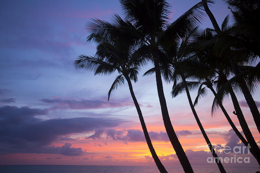 Palm Trees At Sunset, Keawekapu Beach #1 Photograph by Ron Dahlquist