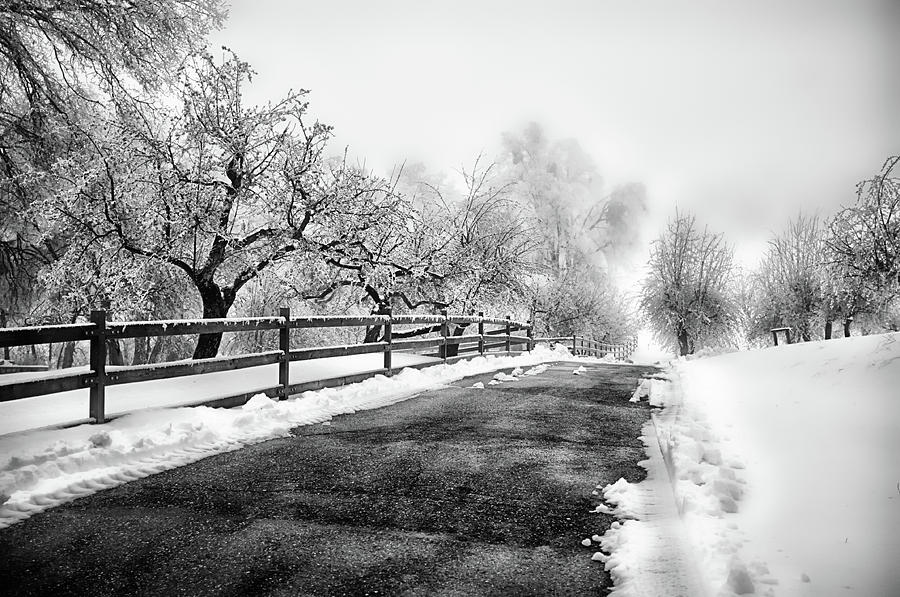 Winter Photograph - Palomar Mountain #1 by Hugh Smith