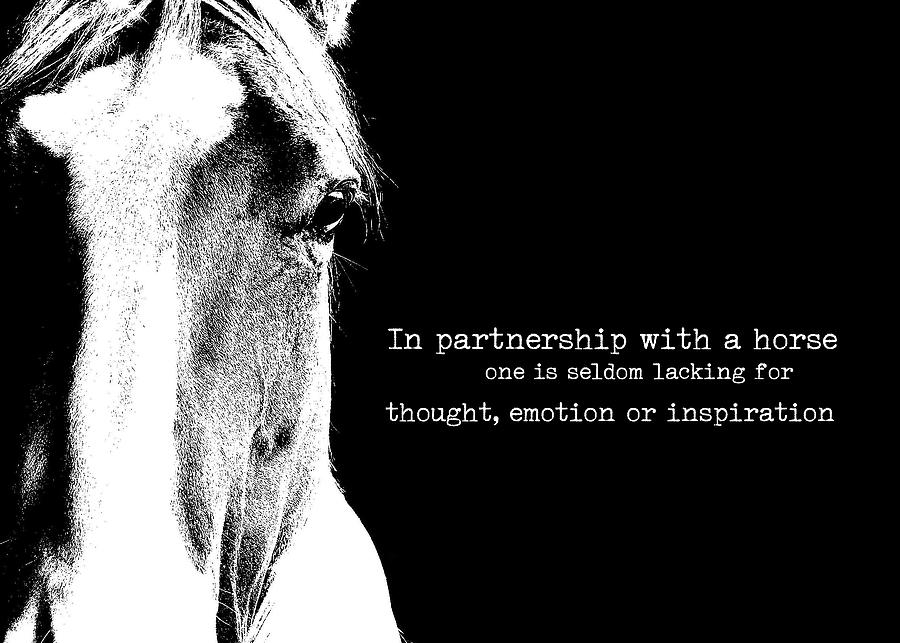 PALOMINO PARTNERSHIP quote Photograph by Dressage Design