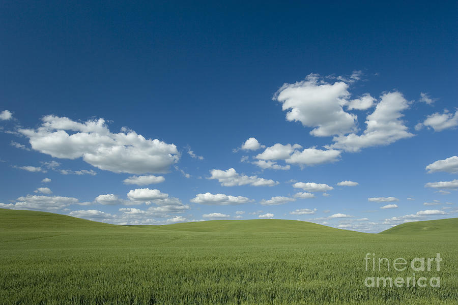 Landscape Photograph - Palouse Country, Usa #1 by Jean-Louis Klein & Marie-Luce Hubert
