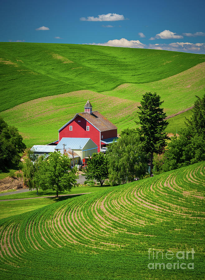Palouse Red Barn #1 Photograph by Inge Johnsson