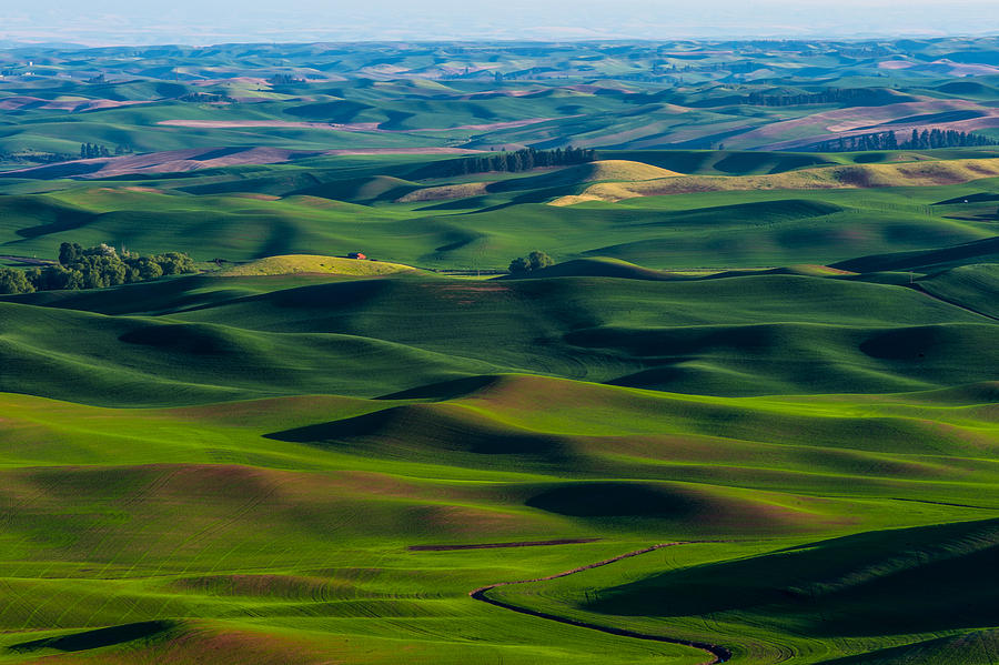 Palouse wheat field #1 Photograph by Hisao Mogi