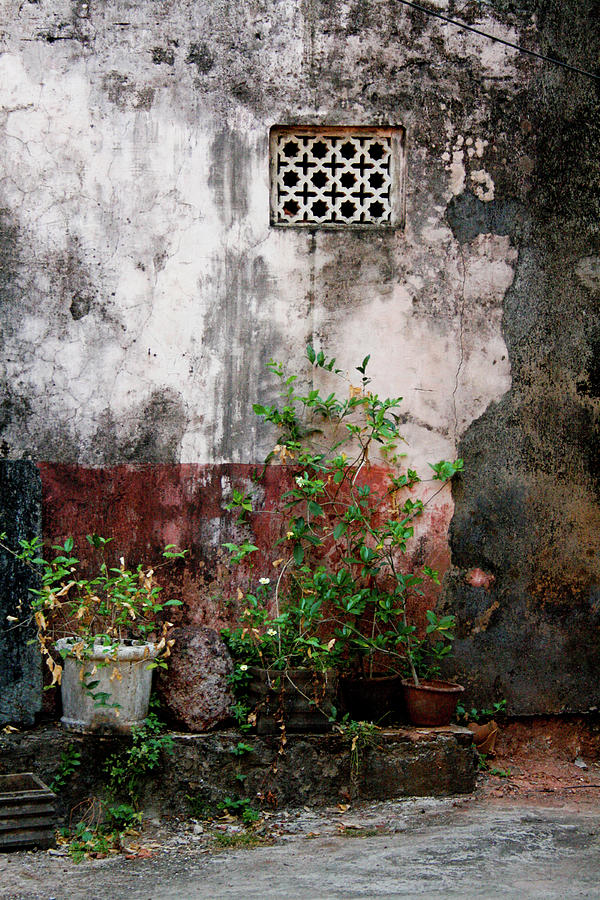 Panjim flower pots #2 Photograph by Gavin Bates