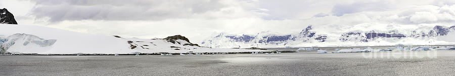 Panorama of Antarctica Peninsula #1 Photograph by Karen Foley