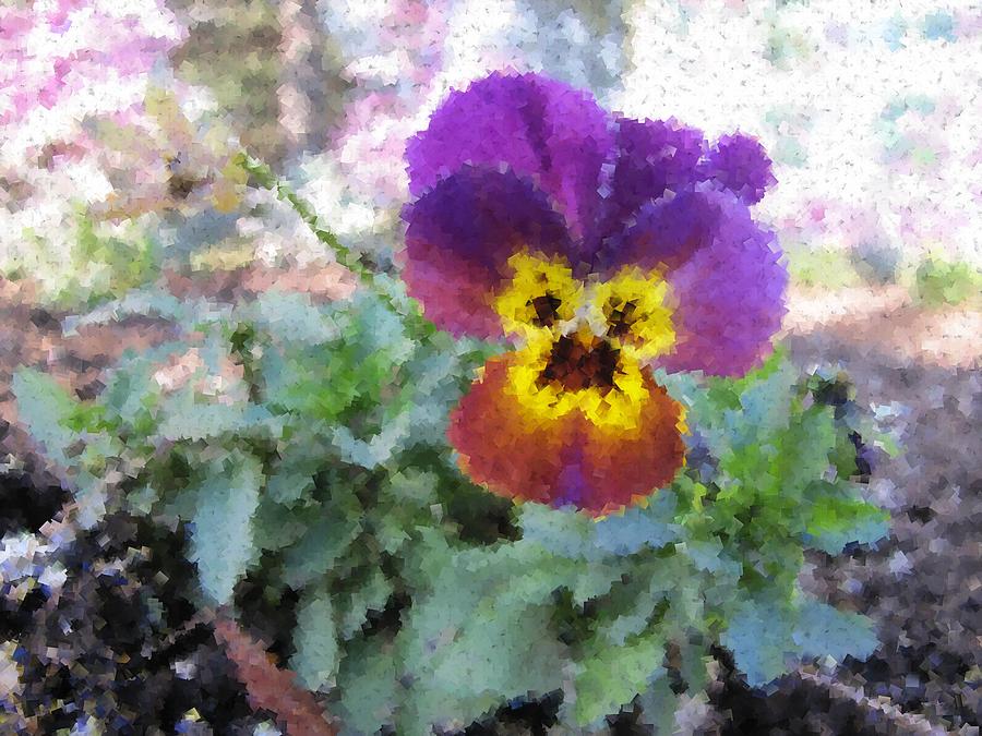 Pansy Perfection #1 Digital Art by Tim Allen