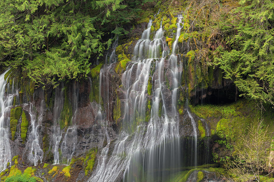 Panther Creek Falls Photograph
