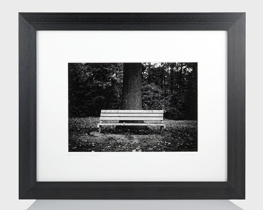 Unique Photograph - Park Bench h2 #2 by Patrick Lynch