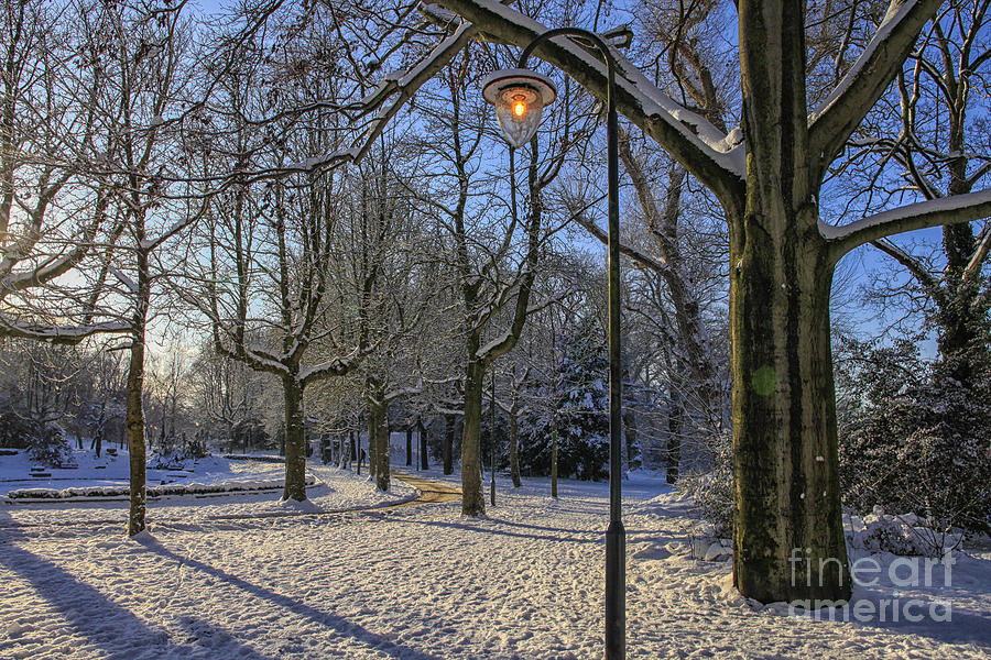 Park in the snow Photograph by Patricia Hofmeester