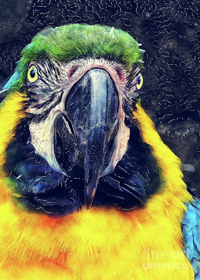 Parrot Art  #1 Digital Art by Justyna Jaszke JBJart