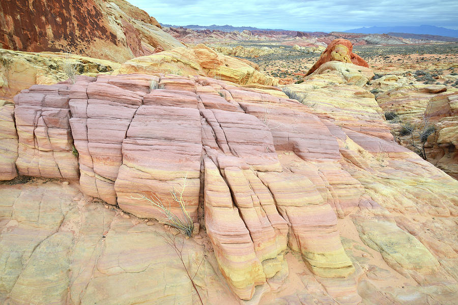 Pastel Colored Sandstone in Valley of Fire #2 Photograph by Ray Mathis