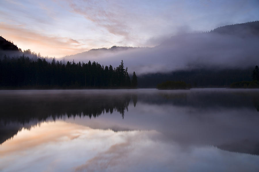 Tree Photograph - Clear Lake Pastel Dawn by Michael Dawson