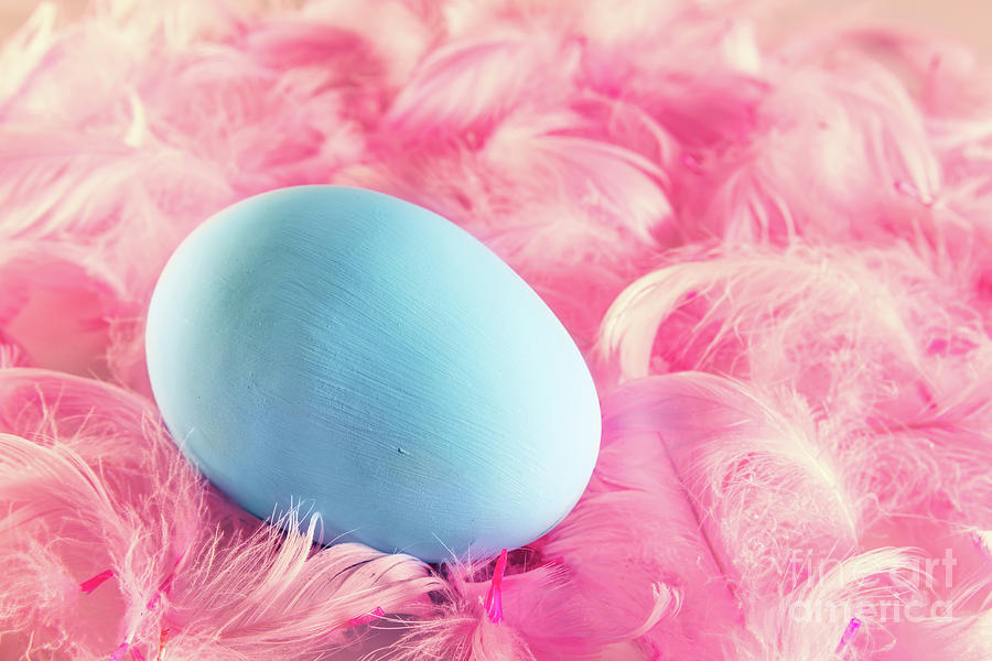 Pastel Easter egg lying on feathers #1 Photograph by Michal Bednarek