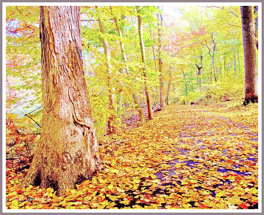 Path in Autumn, Fairmount Park, Philadelphia, Pennsylvania #1 Photograph by A Macarthur Gurmankin