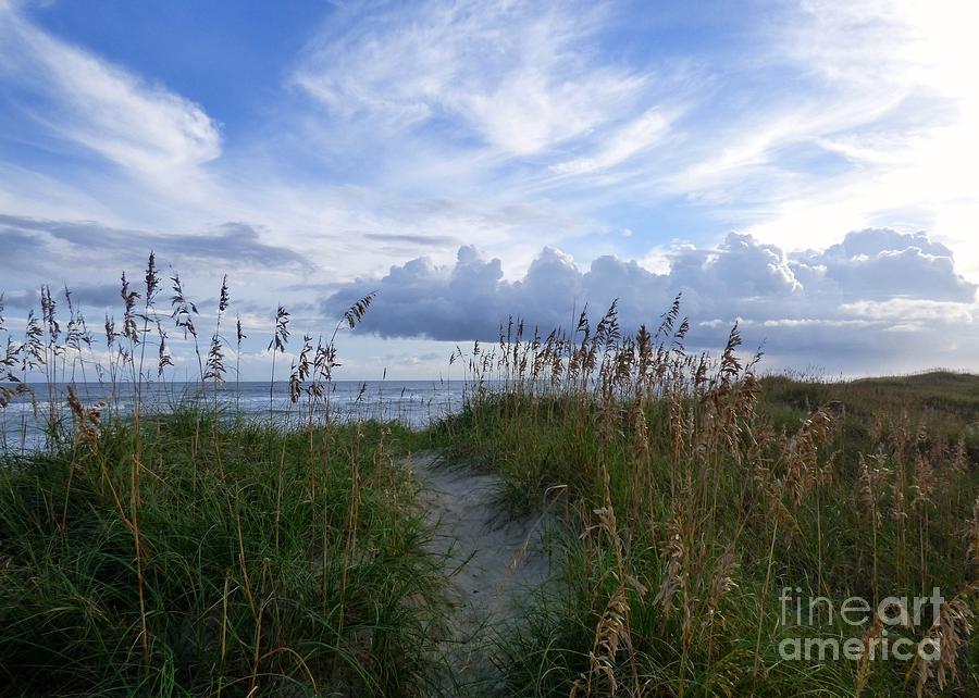 Path over the Dunes #1 Photograph by Jean Wright