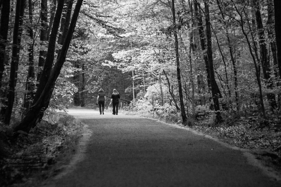 Path To Friendship #1 Photograph by Karol Livote