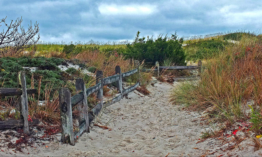 Beach Photograph - Path To The Sea by William Walker