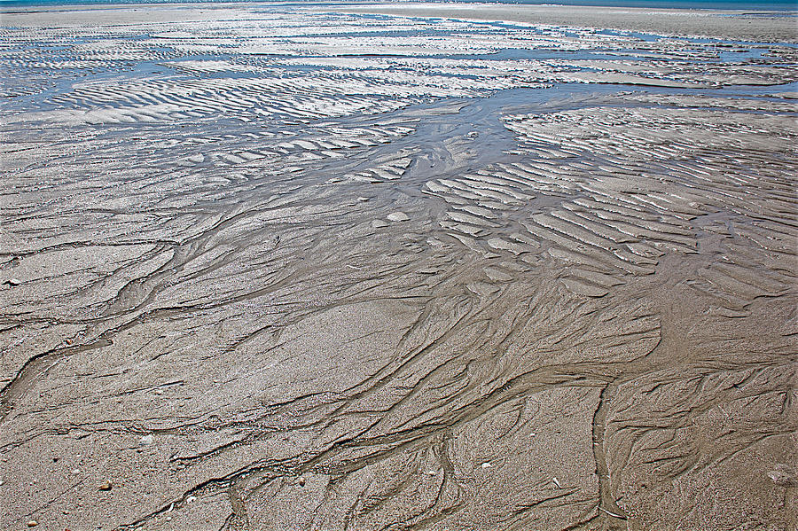Patterns in Sand along Sea of Cortez, south of Puerto Penasco-Mexico  #1 Photograph by Ruth Hager