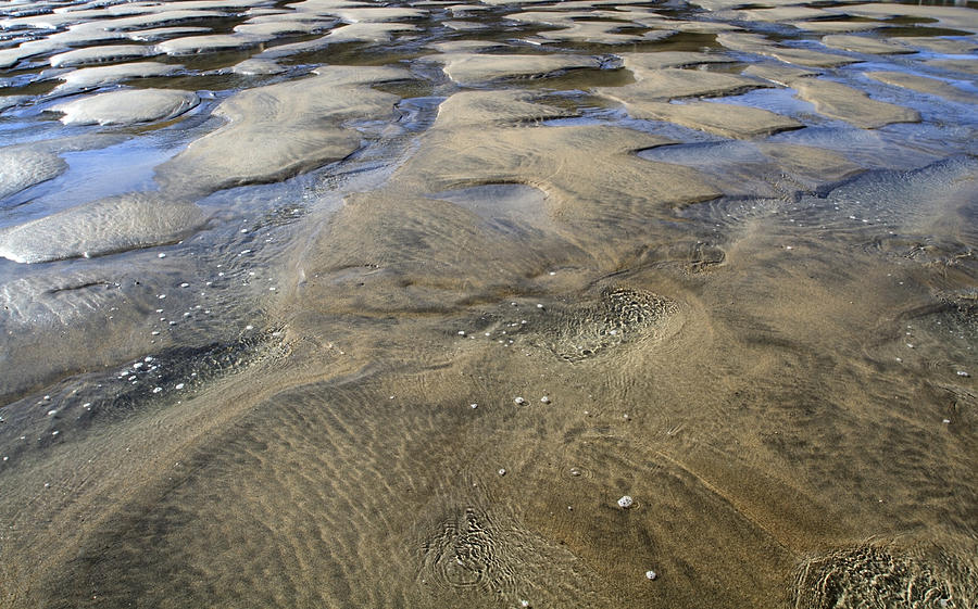 Patterns in the Sand II #1 Photograph by Shirley Mitchell