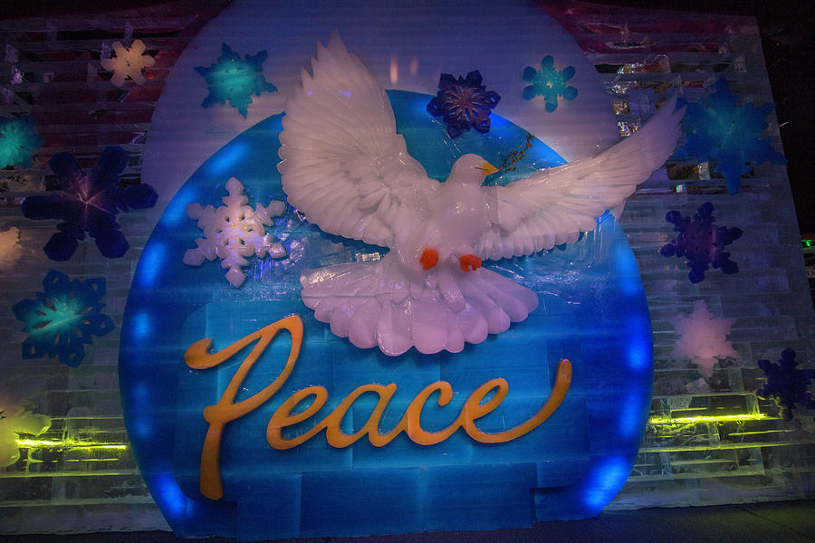 Peace #1 Photograph by Dorothy Cunningham