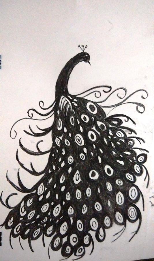 Peacock Drawing by Naveen Gopinath - Fine Art America