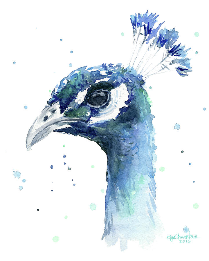 Peacock Painting - Peacock Watercolor #1 by Olga Shvartsur