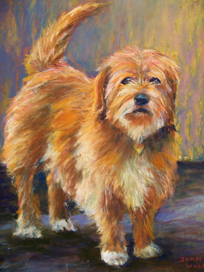 Dog Pastel - Peanut #1 by Joan Wulff