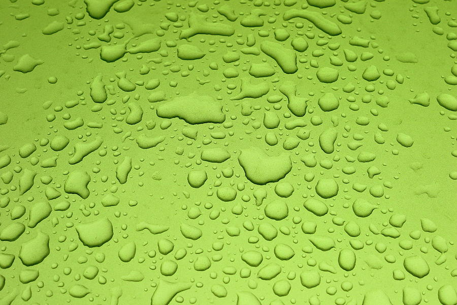 Water Drops Photograph
