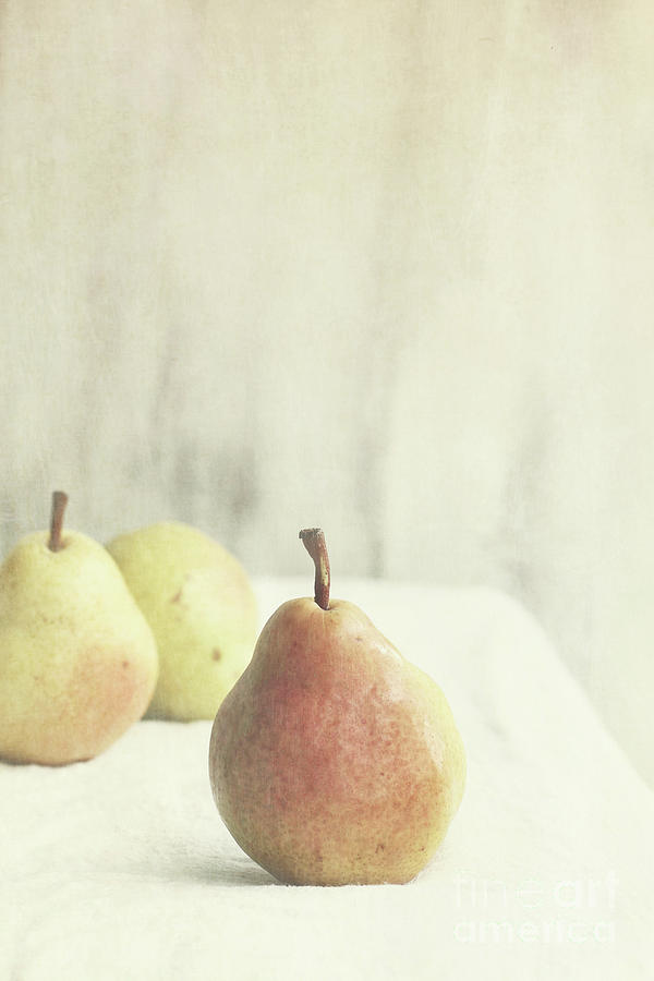 Pears #1 Photograph by Stephanie Frey - Pixels