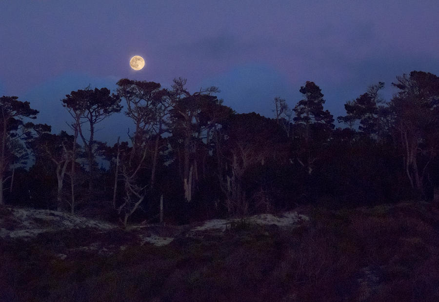 Pebble Beach Moonrise Photograph by Derek Dean