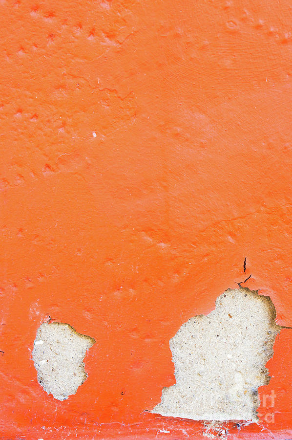 Peeling orange paint  #1 Photograph by Tom Gowanlock