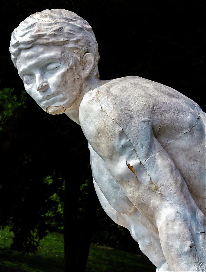 Peeling Sculpture #1 Photograph by Robert Ullmann
