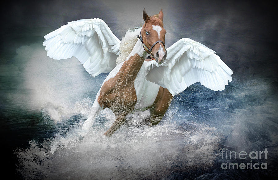 Pegasus #1 Photograph by Jim Hatch