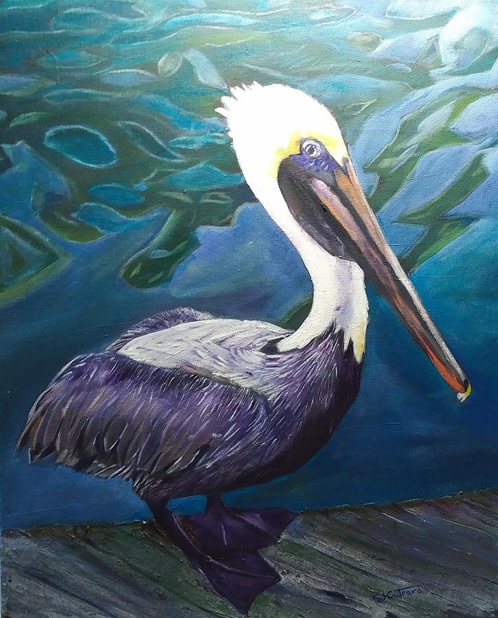 Pelican Painting by Sal Cutrara - Fine Art America