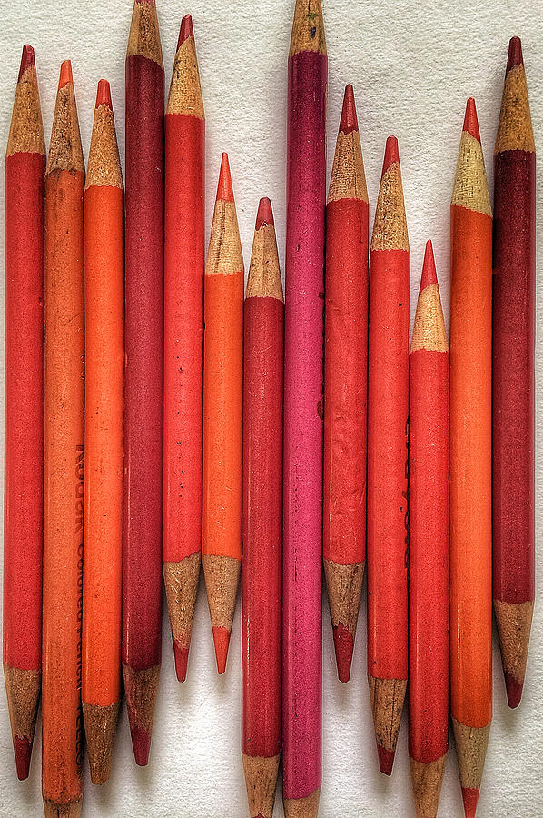 Pencil Study #1 Photograph by Bill Owen
