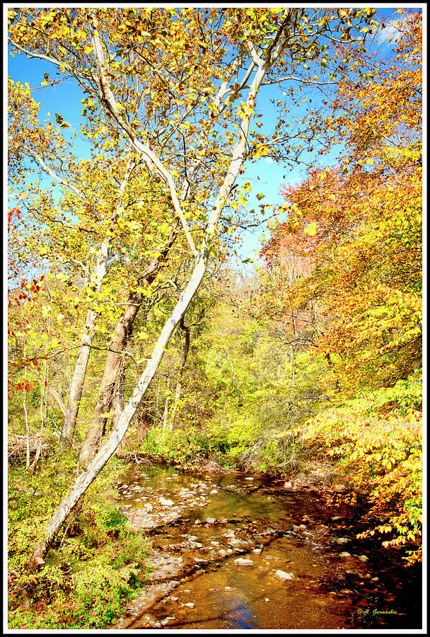 Pennsylvania Stream in Fall #1 Photograph by A Macarthur Gurmankin