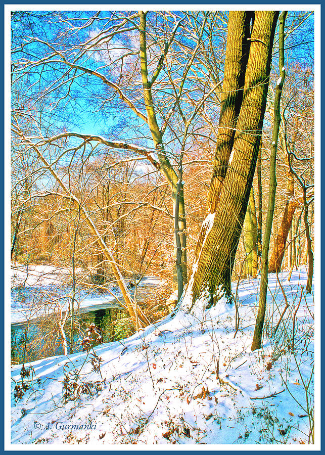Pennsylvania Stream in Winter #1 Photograph by A Macarthur Gurmankin