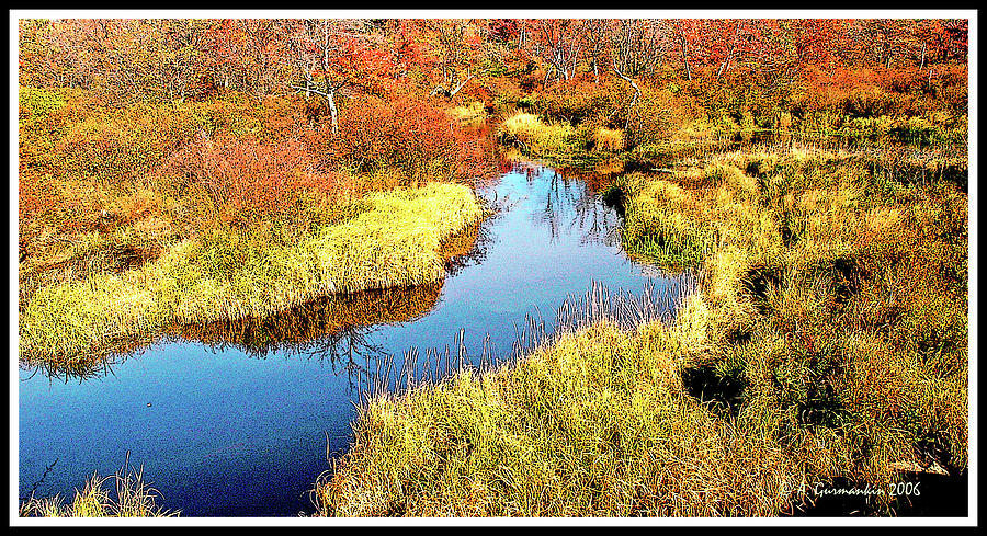 Pennsylvania Wetland in Autumn Digital Art #1 Photograph by A Macarthur Gurmankin