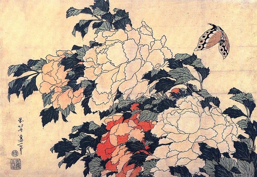 Peonies And Butterfly #1 Painting by Katsushika Hokusai