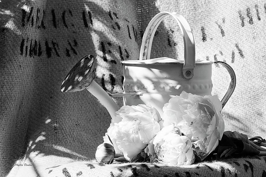 Peonies And Old Watering Can #1 Photograph by Phyllis Denton