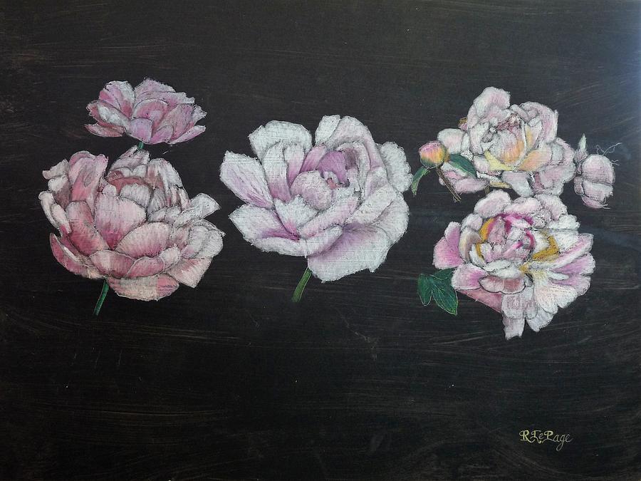 Peony   #1 Pastel by Richard Le Page