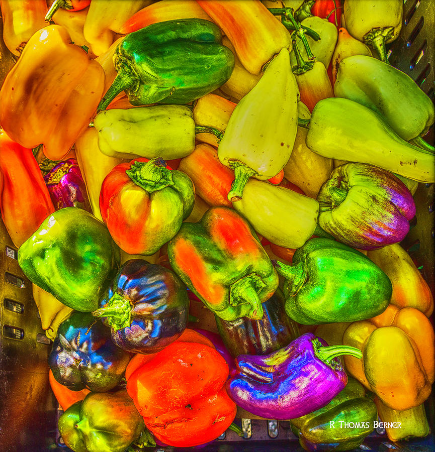 Peppers #2 Photograph by R Thomas Berner
