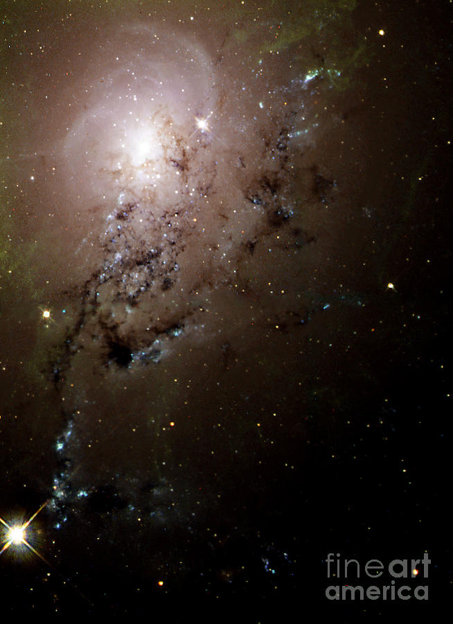 Perseus A, Ngc 1275, Caldwell 24 #1 Photograph by Science Source