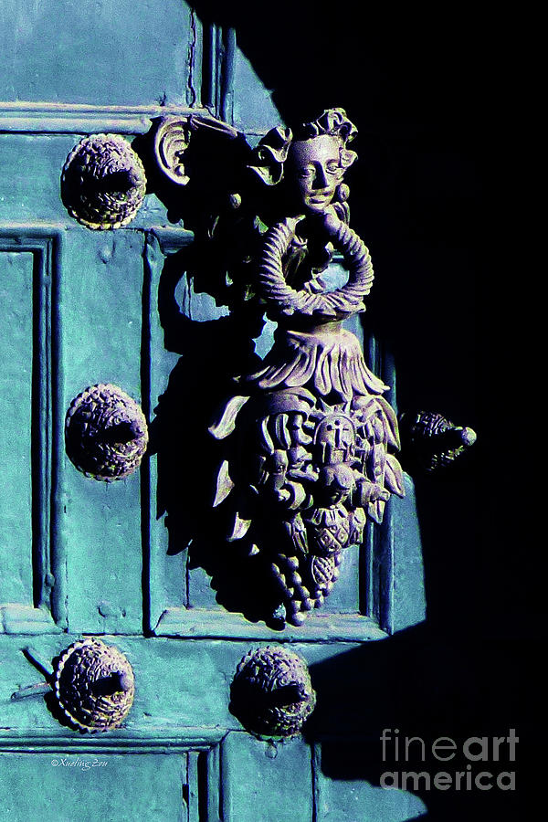 Peruvian Door Decor 6 #1 Photograph by Xueling Zou