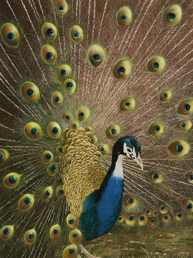 Petit Jean Mountain Painting - Petit Jean Peacock by Mary Ann King