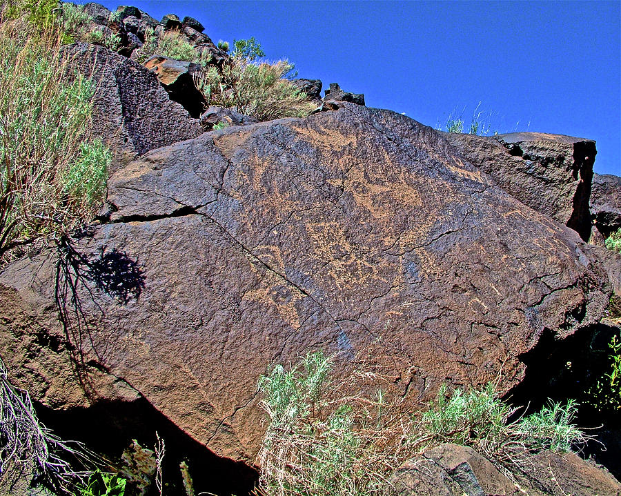 Petroglyphs in Piedras Marcada Canyon in Petroglyph National Monument in Albuquerque, New Mexico #1 Photograph by Ruth Hager