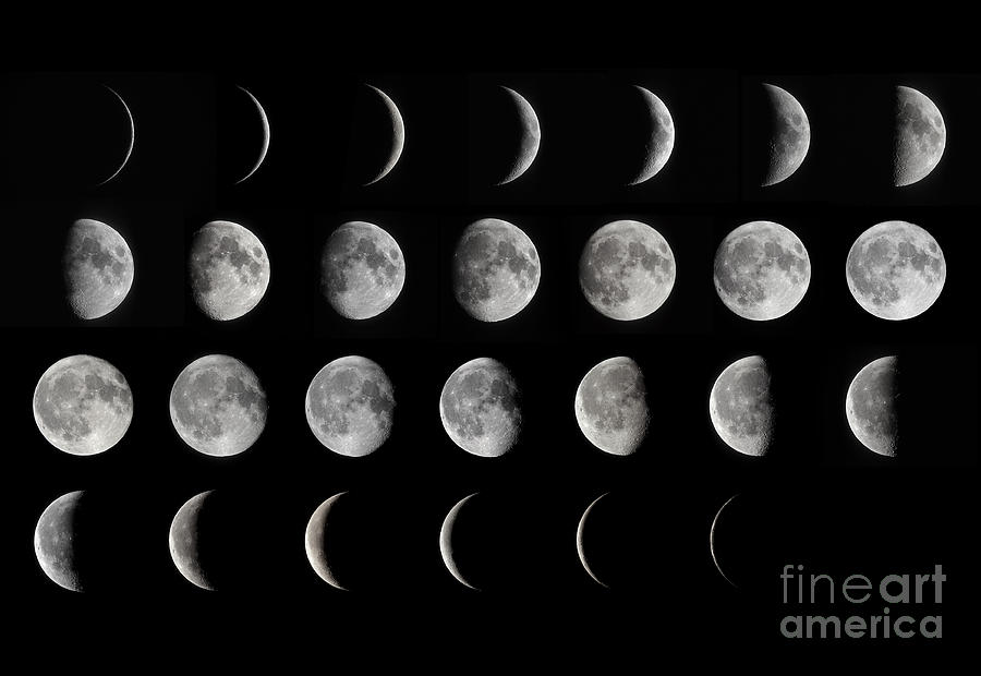 Phases Of The Moon #1 Photograph by Larry Landolfi