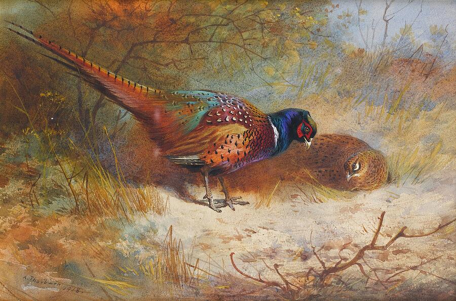 Pheasants  #9 Painting by Archibald Thorburn