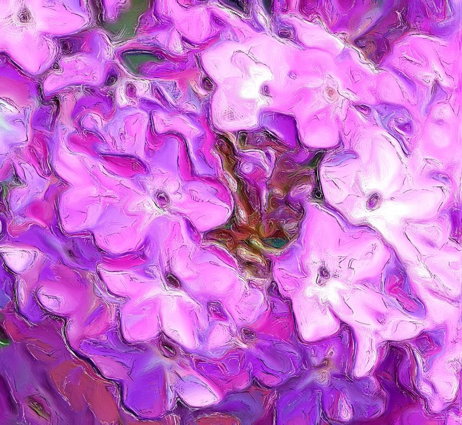 Flower Digital Art - Phlox Fantasy #1 by David Lane