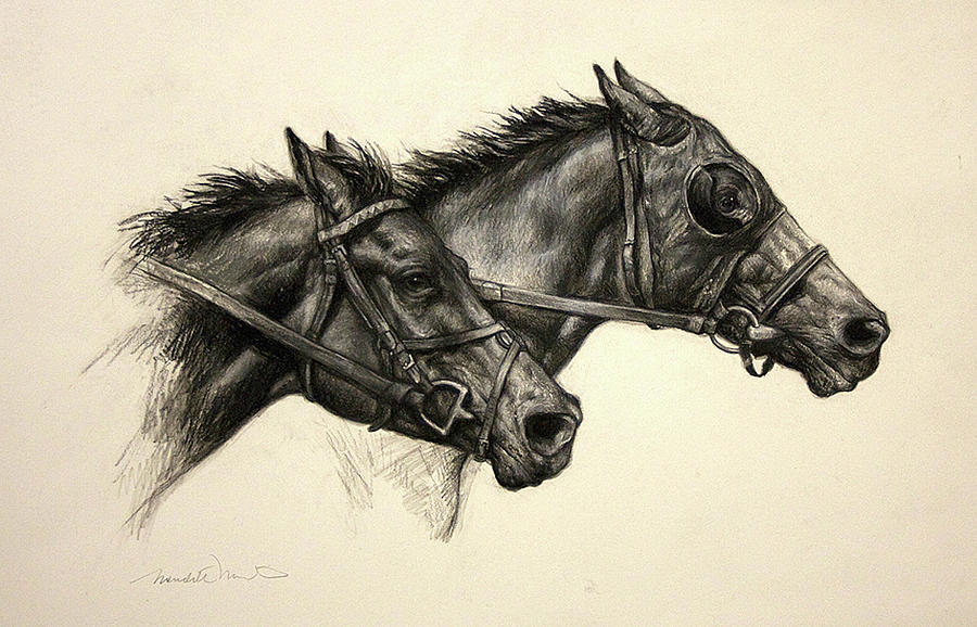 Horse Drawing - Photo Finish by Meridith Martens
